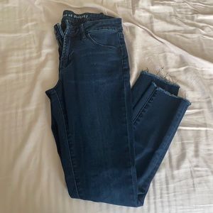 Articles of Society Cropped Skinny Jeans